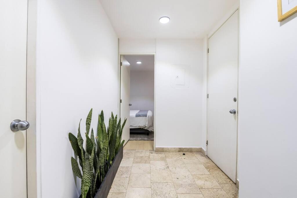 Loft Donceles 6 Cdmx! Apartment Mexico City Luaran gambar